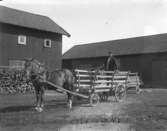 Enligt notering: Artur Svensson i Norra Torp i en s.k. förspännvagn, 5 sept. 1921