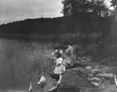 Fotografi ur familjen Lithanders album