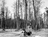 Fotografi ur familjen Lithanders album