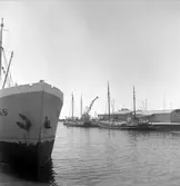 Kopia finns 7x7 (B.M.A.)