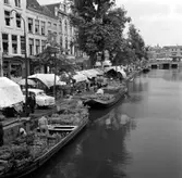 Kopia finns 7x7 (B.M.A.)