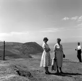 Kopia finns 7x7 (B.M.A.)