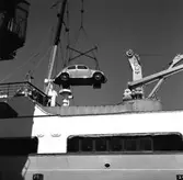 Kopia finns 7x7 (B.M.A.)