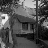 1.Tyskland, Nederländerna. Fotojournal finns på B.M.A. + fotoalbum.
Samtidigt förvärv: Böcker och arkivmaterial.
Foton tagna mellan 1959-10-09. och 1959-11-16.
12 Bilder i serie.