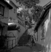 1.Tyskland, Nederländerna. Fotojournal finns på B.M.A. + fotoalbum.
Samtidigt förvärv: Böcker och arkivmaterial.
Foton tagna mellan 1959-10-09. och 1959-11-16.
12 Bilder i serie.