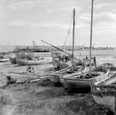 15. Italien. Fotojournal finns på B.M.A. + fotoalbum.
Samtidigt förvärv: Böcker och arkivmaterial.
Foton tagna 1959-10-28.
12 Bilder i serie.