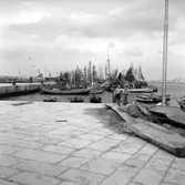 16. Italien. Fotojournal finns på B.M.A. + fotoalbum.
Samtidigt förvärv: Böcker och arkivmaterial.
Foton tagna 1959-10-28.
12 Bilder i serie.