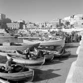 17. Italien. Fotojournal finns på B.M.A. + fotoalbum.
Samtidigt förvärv: Böcker och arkivmaterial.
Foton tagna mellan 1959-10-28 och 1959-10-29.
12 Bilder i serie.