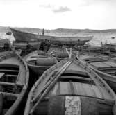 19. Italien. Fotojournal finns på B.M.A. + fotoalbum.
Samtidigt förvärv: Böcker och arkivmaterial.
Foton tagna 1959-10-30.
12 Bilder i serie.