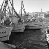 27. Frankrike. Fotojournal finns på B.M.A. + fotoalbum.
Samtidigt förvärv: Böcker och arkivmaterial.
Foton tagna 1959-11-05.
10 Bilder i serie.