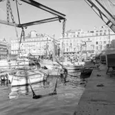 27. Frankrike. Fotojournal finns på B.M.A. + fotoalbum.
Samtidigt förvärv: Böcker och arkivmaterial.
Foton tagna 1959-11-05.
10 Bilder i serie.