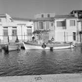 29. Frankrike. Fotojornal finns på B.M.A. + fotoalbum.
Samtidigt förvärv: Böcker och arkivmaterial.
Foton tagna 1959-11-06.
12 Bilder i serie.