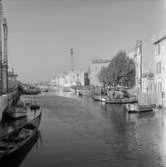 29. Frankrike. Fotojornal finns på B.M.A. + fotoalbum.
Samtidigt förvärv: Böcker och arkivmaterial.
Foton tagna 1959-11-06.
12 Bilder i serie.