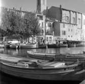 30. Frankrike. Fotojournal finns på B.M.A. + fotoalbum.
Samtidigt förvärv: Böcker och arkivmaterial.
Foton tagna 1959-11-06.
12 Bilder i serie.