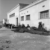 33. Spanien. Fotojournal finns på B.M.A. + fotoalbum.
Samtidigt förvärv: Böcker och arkivmaterial.
Foton tagna 1959-11-07.
12 Bilder i serie.