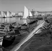 45. Portugal. Fotojournal finns på B.M.A. + fotoalbum.
Samtidigt förvärv: Böcker och arkivmaterial.
Foton tagna 1959-11-15.
12 Bilder i serie.