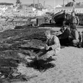 45. Portugal. Fotojournal finns på B.M.A. + fotoalbum.
Samtidigt förvärv: Böcker och arkivmaterial.
Foton tagna 1959-11-15.
12 Bilder i serie.