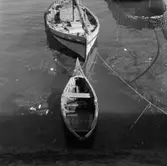 45. Portugal. Fotojournal finns på B.M.A. + fotoalbum.
Samtidigt förvärv: Böcker och arkivmaterial.
Foton tagna 1959-11-15.
12 Bilder i serie.