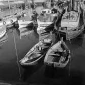 46. Portugal. Fotojournal finns på B.M.A. + fotoalbum.
Samtidigt förvärv: Böcker och arkivmaterial.
Foton tagna 1959-11-15.
12 Bilder i serie.