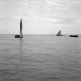 48. Portugal. Foto jornal finns på B.M.A. + fotoalbum.
Samtidigt förvärv: Böcker och arkivmaterial.
Foton tagna mellan 1959-11-15 och 1959-11-16.
12 Bilder i serie.