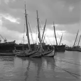 49. Portugal. Foto jornal finns på B.M.A. + fotoalbum.
Samtidigt förvärv: Böcker och arkivmaterial.
Foton tagna 1959-11-16.
12 Bilder i serie.