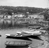 Skrivet på baksidan: Holmsbu 7/8 1966. A 3177. 
Stämplat på baksidan: Henning Henningsen, museumsinspektör, dr. phil.