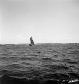 Stämplat på baksidan: 850.