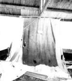 Skrivet på baksidan: Ullseilet fra HAUS. Sunnbordland Landbruksmuseum, Stend. 
Foto 1961