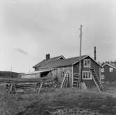 Fotografiet är taget: 1957

Båtbyggeri norra Sverige innehåller intreörer, 165 s.v. kop.
18 neg. till 18 av kop. finns i neg.ark. nr. 1929:1-2 filmnr. 119 och 120.
Format 6x6 10x10