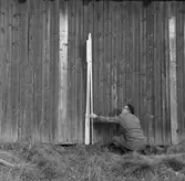 Fotografiet är taget: 1957

Båtbyggeri norra Sverige innehåller intreörer, 165 s.v. kop.
18 neg. till 18 av kop. finns i neg.ark. nr. 1929:1-2 filmnr. 119 och 120.
Format 6x6 10x10