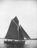 Enligt fotografens noteringar: 