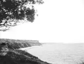 Enligt fotografens noteringar: 