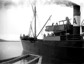 Enligt fotografens noteringar: 