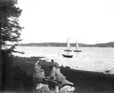 Enligt fotografens noteringar: 