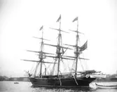 Enligt fotografens noteringar: 