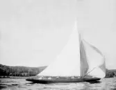 Enligt fotografens noteringar: 