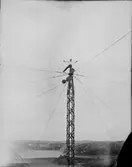 Enligt senare noteringar: 