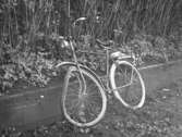 Cykel 1951