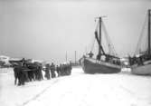 Jan 1924. Båt handdrages i isen i Smögens hamn. Virginia.