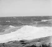 (Stereo karta XVII) Bränningar vid Tåudden. 25 Augusti 1926