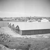 Hamnen på Grötö, Lysekil den 4 september 1950