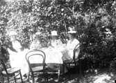 Kaffestund i solskenet. Böjträstolarna har plockats ut och satts runt trädgårdsbordet.