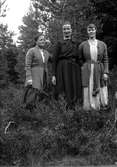 Tre kvinnor har stannat till på skogspromenaden för fotografering. Fotografens anmärkning: Gruppbild kärringar.