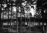En lång vinklad träveranda, bakom den en stor byggnad med tegeltak, i förgrunden tallar. Lungkliniken, Eksjö.