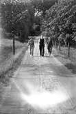 Två kvinnor och en man vandrar med stavar i händerna på en grusväg.