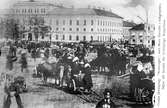 Gamla Svintorget i Jönköping på 1860-talet.