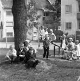 Majstångens barnträdgård i Huskvarna med fröken Linder den 12 juni 1965.