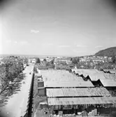 Från sin arbetsplats på Husqvarna AB hade Conrad Sandberg denna vy över brädgården, Drottninggatan och hela staden.1950-tal.