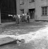 Bakgård på öster i Jönköping på 1950-talet.