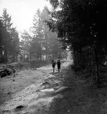Två pojkar vandrar på en skogsväg i Tenhult. Detta område blev senare bebyggt och vägen blev Myrstadsvägen.